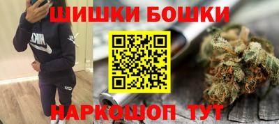 крисы Обь