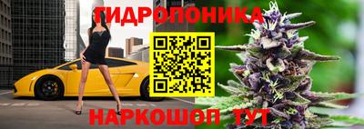 крисы Обь