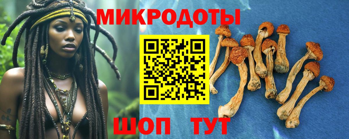 Галлюциногенные грибы прущие грибы Геленджик